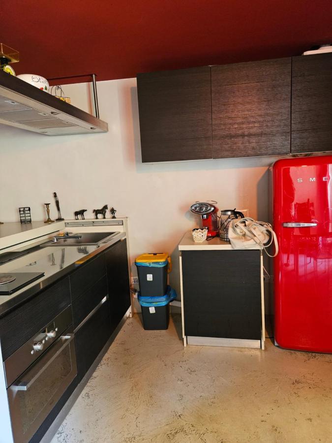 Vm Siro Comi Apartment Павия Екстериор снимка